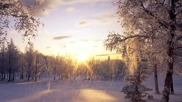 بهشت آرام / سبزی و سپیدی در کنار هم