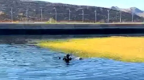 جسد پرستار جوان از سد آیدوغموش بیرون کشیده شد / موسی عمرانی که بود؟