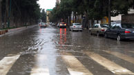 بارش باران در میگون استان تهران به بیش از 10 میلی متر رسید