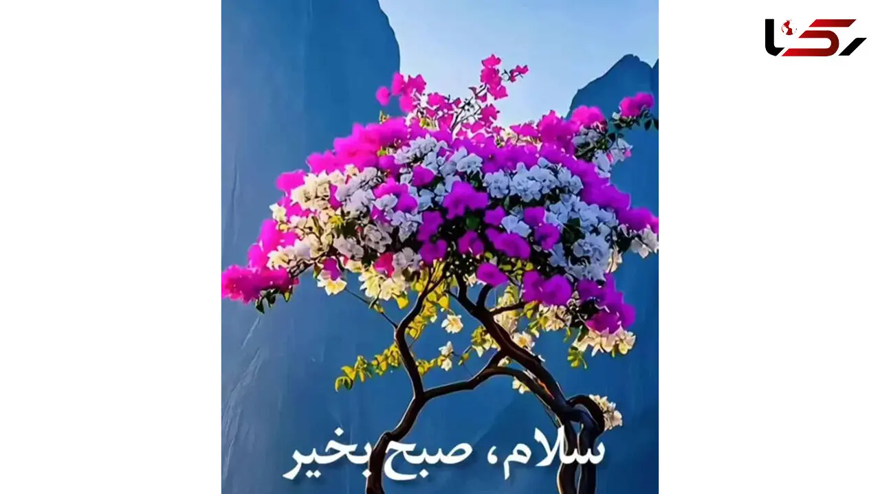 فال و طالع بینی امروز 11 آذر