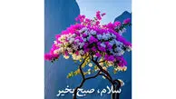 فال ابجد امروز 24 اردیبهشت 1405