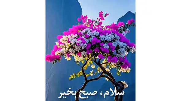 فال ابجد امروز 24 اردیبهشت 1405