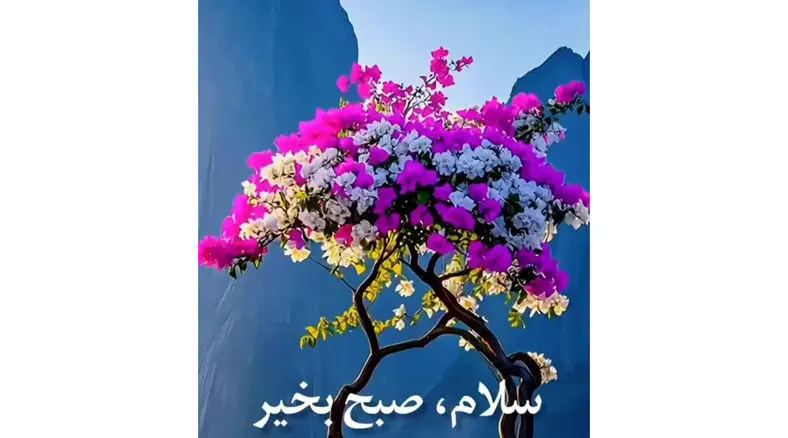 فال و طالع بینی امروز 11 آذر