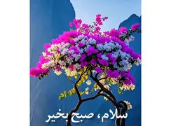 فال و طالع بینی امروز 11 آذر