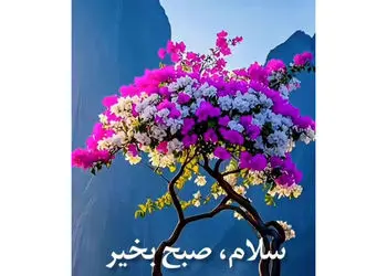 فال و طالع بینی امروز 11 آذر