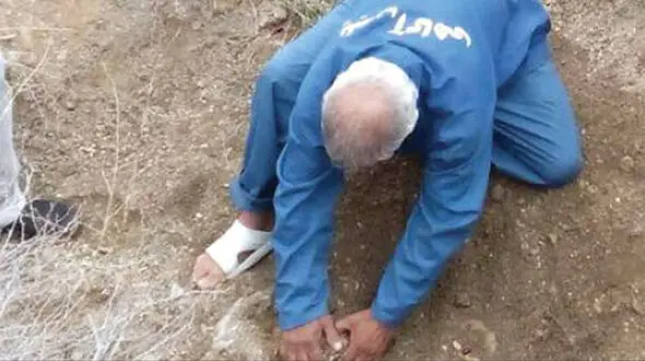 انتشار عکس گرگ پیر که کودکان مشهدی را به دام پلید می کشید! + آخرین خبر