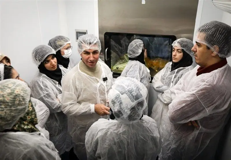 ستاد ویژه توسعه فناوری نانو , فناوری نانو , ستاد توسعه فناوری های نانو و میکرو , 