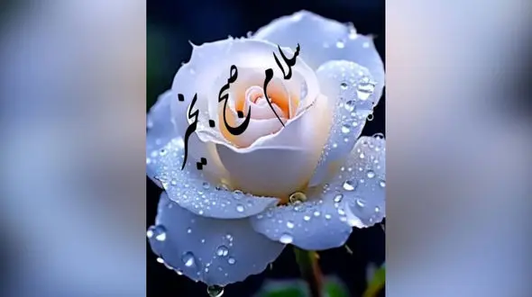 تفسیر فال ابجد 22 خرداد 