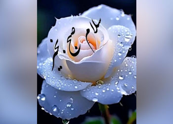 تفسیر فال ابجد 22 خرداد 