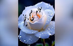 فال و طالع بینی روزانه 8 تیر