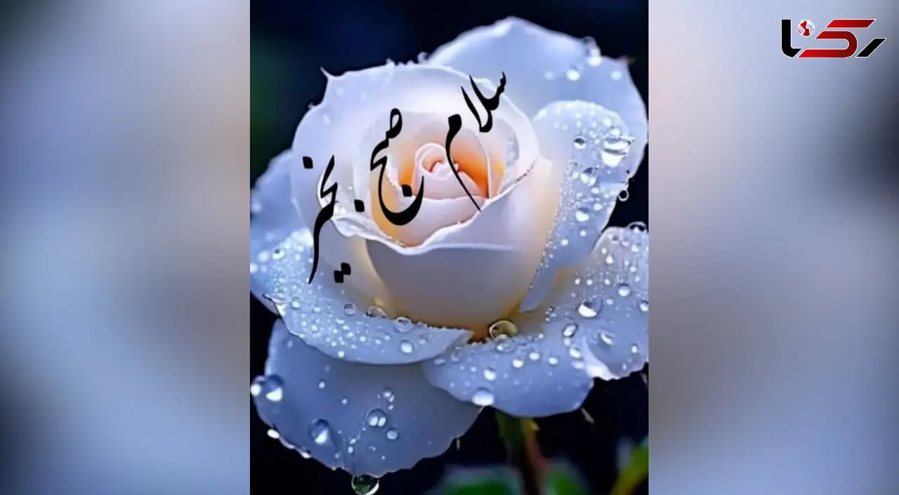 فال و طالع بینی روزانه 8 تیر 