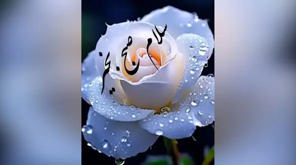 تفسیر فال ابجد 22 خرداد 