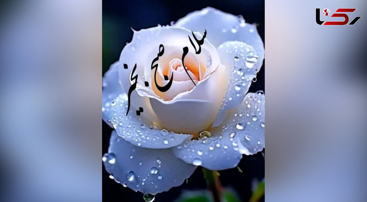 تفسیر فال ابجد 22 خرداد