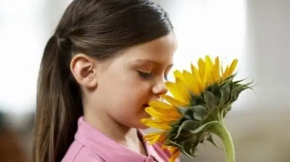 روش های قوی تر کردن حس بویایی