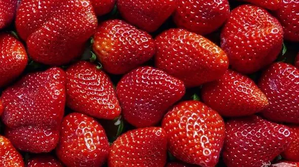 بهترین میوه ها برای کلیه 