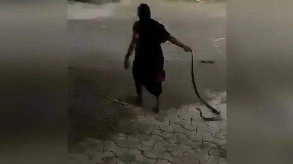 اقدام عجیب و ترسناک یک زن با مار کبری / هند + فیلم