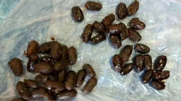 این خرماها شما را خمار می کند + جزئیات یک عملیات در اتوبان آزادگان