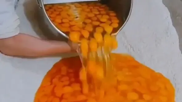 هزاران زرده تخم مرغ برای آشپزی / فیلم