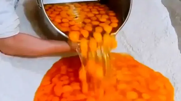 هزاران زرده تخم مرغ برای آشپزی / فیلم