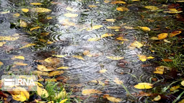 آغاز بارش‌ها در ۱۵ استان از چهارشنبه/ تهران پنجشنبه بارانی می‌شود