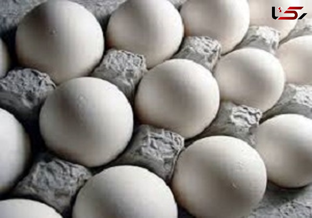 قیمت منطقی هر عدد تخم مرغ کمتر از نرخ بازار است