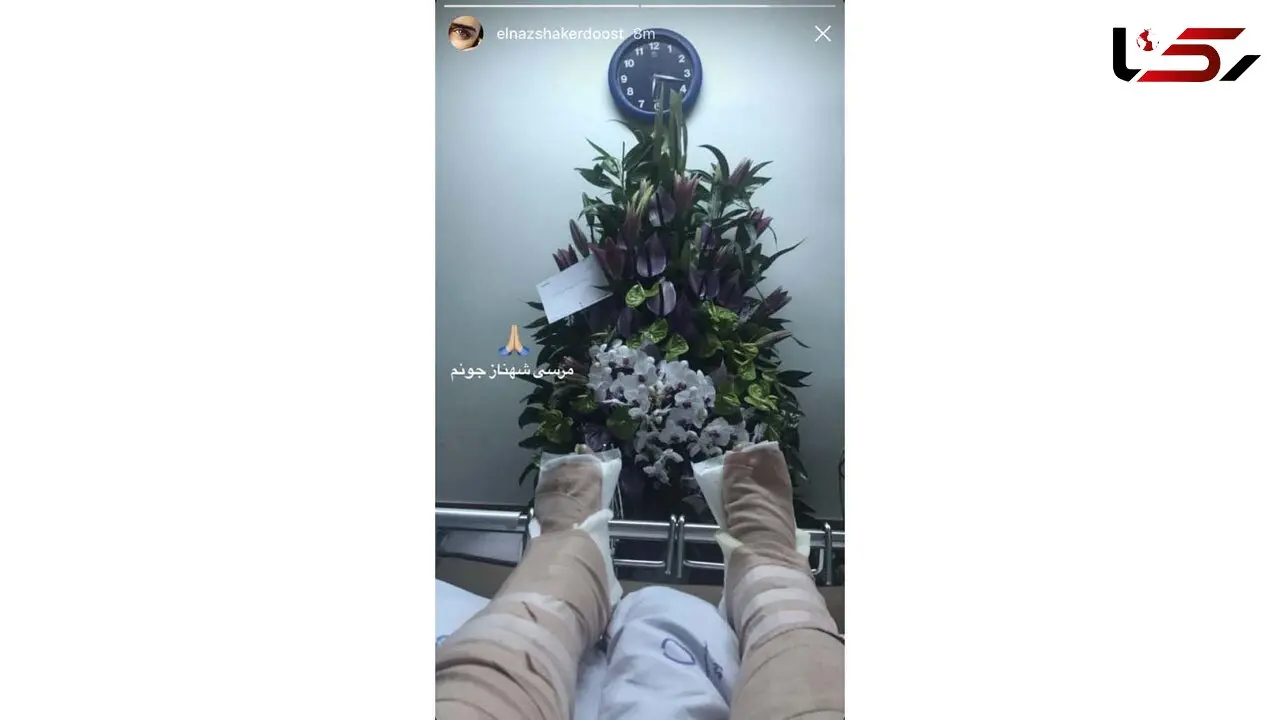 الناز شاکردوست و پاهای شکسته اش