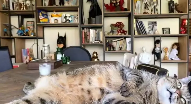 چیدمان منزل پیمان قاسم خانی و میترا ابراهیمی