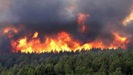 آتش‌سوزی در محدوده جنگلی فندقلو