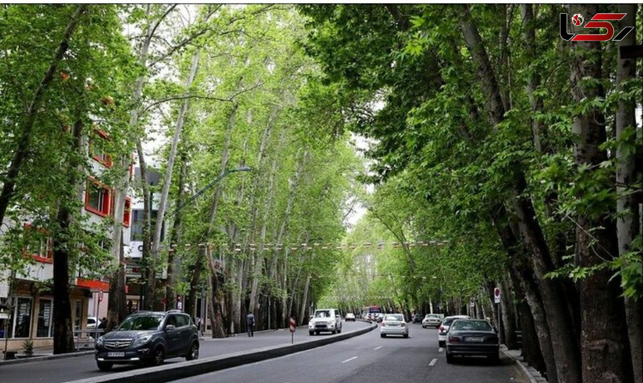 خیابان ولیعصر تهران در آستانه ثبت جهانی