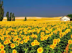 فال ابجد امروز 22 بهمن 1404