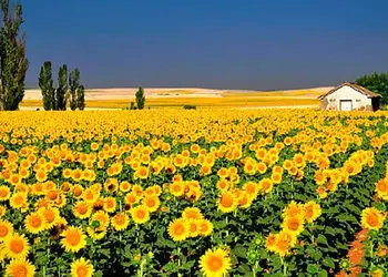 فال ابجد امروز 22 بهمن 1404