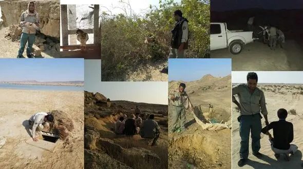 کشف ۲ بهله پرنده شکاری از متخلفان شکار و صید در کنارک
