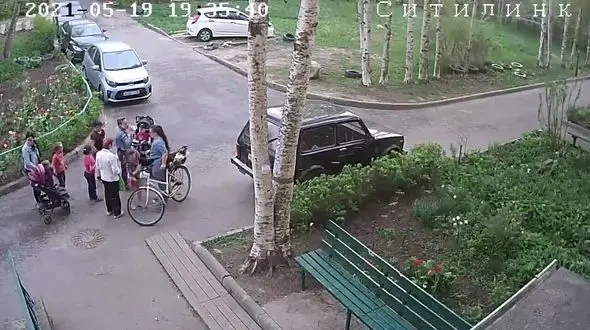 سقوط درخت روی سر یک زن در خیابان + فیلم