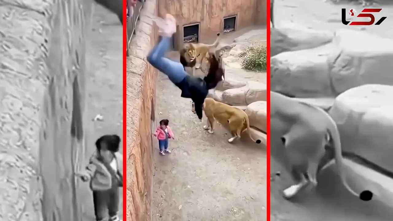 فیلم اقدام شجاعانه زن برای نجات بچه در باغ وحش