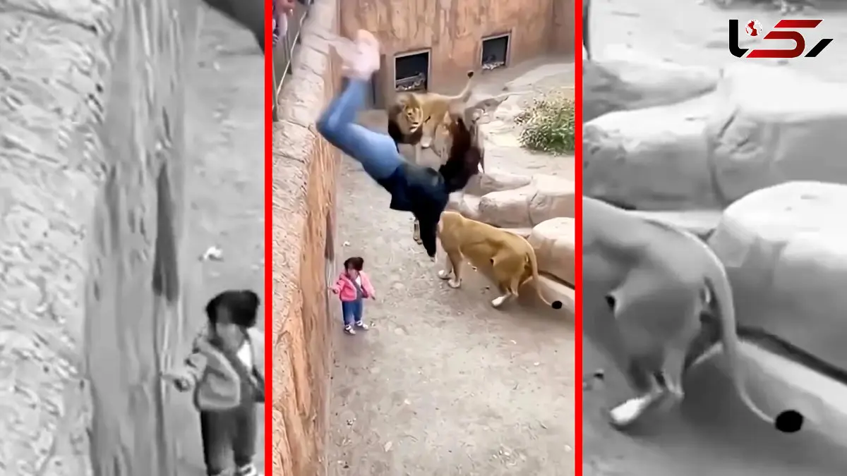 فیلم اقدام شجاعانه زن برای نجات بچه در باغ وحش