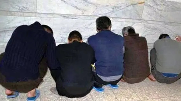 5 شرور با عربده کشی قدرتنمایی کردند / پلیس اردبیل همه را زمینگیر کرد
