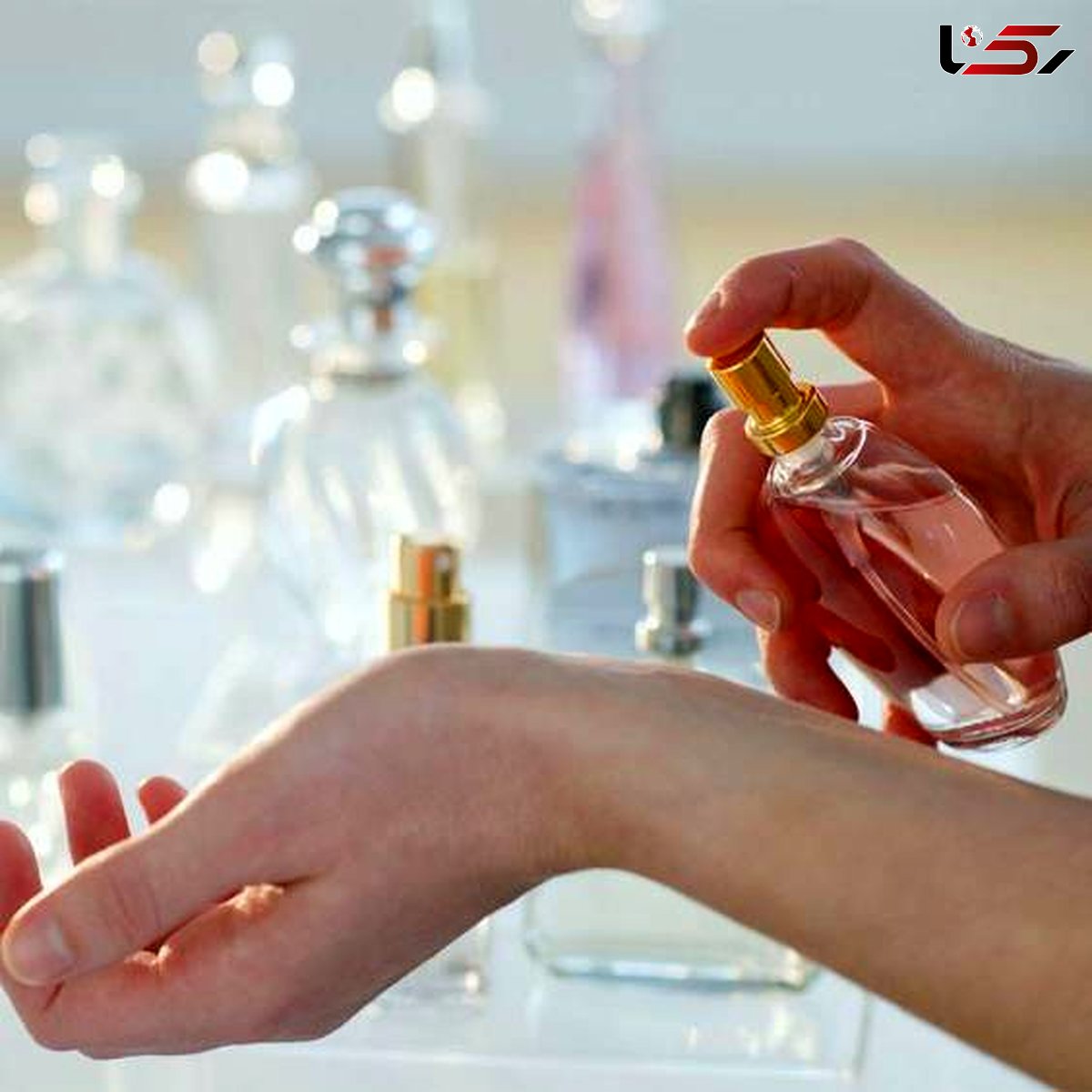 قوانین خرید یک عطر ایده آل و مناسب