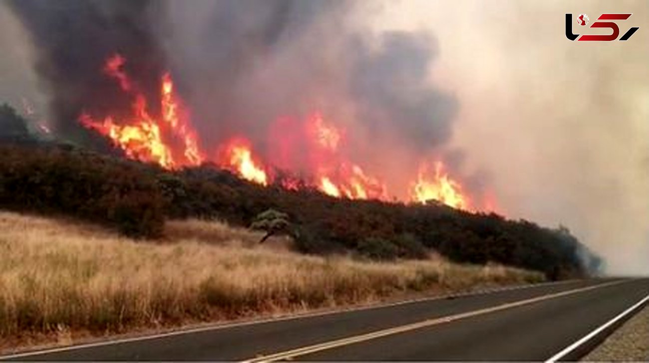 آتش‌سوزی‌ گسترده کالیفرنیا / 25 هزار هکتار جنگل در آتش سوخت + عکس 
