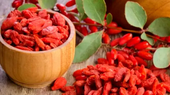 ده خوراکی شگفت انگیز که سرشار از آنتی اکسیدان هستند
