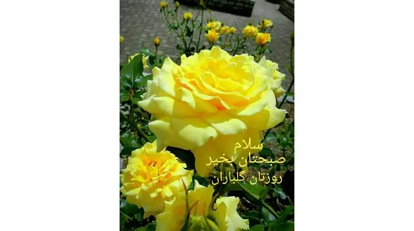 فال ابجد امروز / 9 دی + فیلم