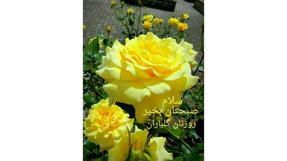 فال ابجد امروز / 9 دی + فیلم