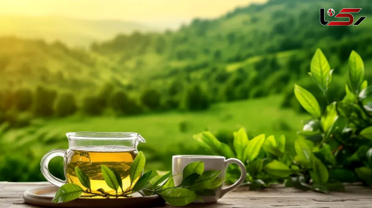  واقعیت‌های تلخ درباره درمان کبد چرب با دمنوش 