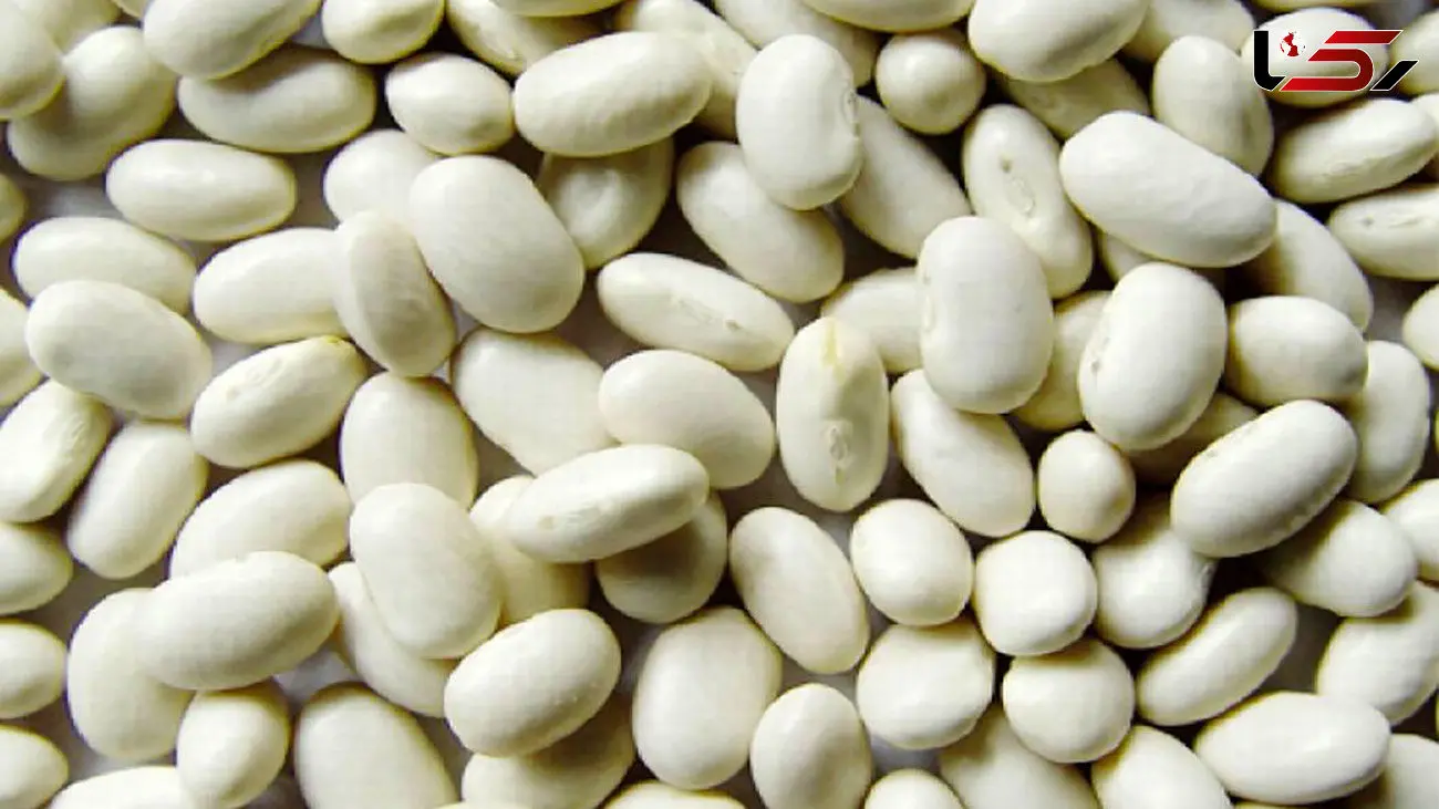 خواص لوبیا سفید