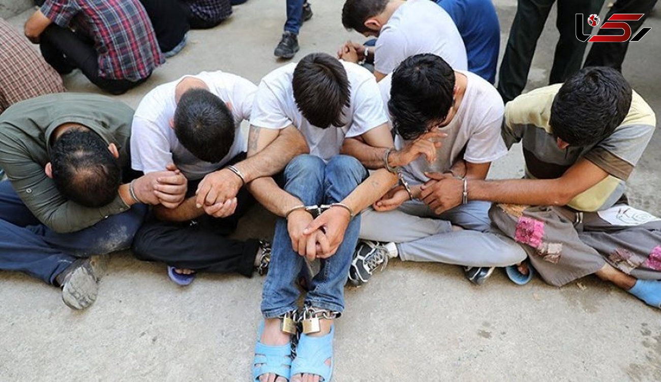 عاملان 26 فقره سرقت در چهارمحال و بختیاری دستگیر شدند