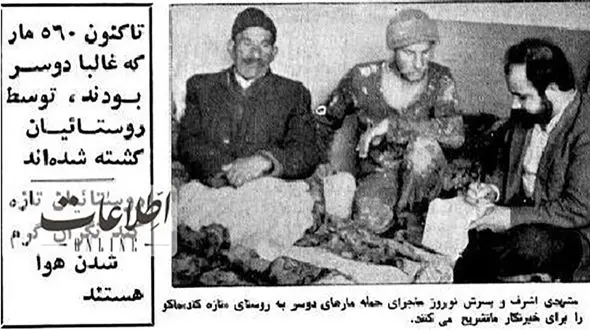 مار‌های دوسر به یک روستا حمله کردند! +عکس و جزئیات