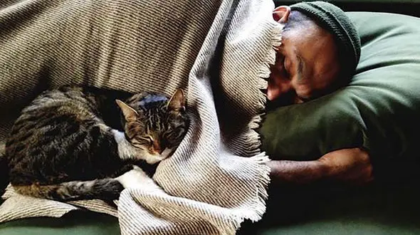 ژست صابر ابر و گربه اش در خواب+ عکس