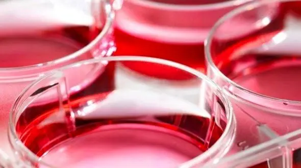 رشد سلول های سرطانی را با این روش متوقف کنید