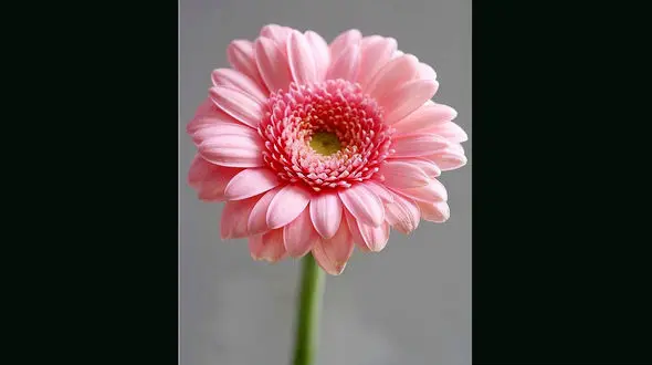 فال ابجد امروز / 5خرداد ماه + فیلم 