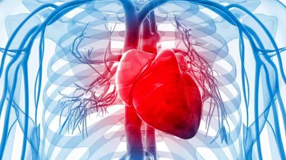 تپش قلب نشانه چه بیماری خطرناکی است