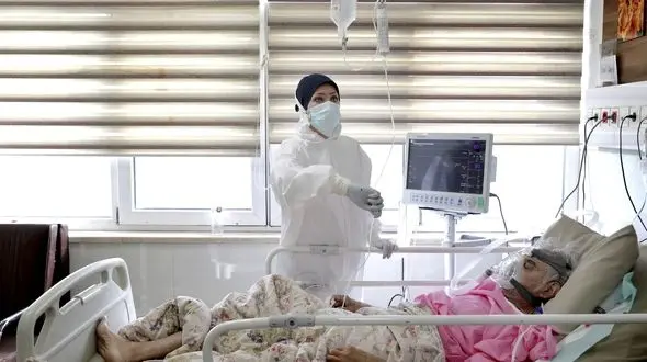 راه های انتقال "قارچ سیاه" / هزینه درمان با قیمت داروی بازار سیاه، نزدیک 2 میلیارد تومان!+ صوت